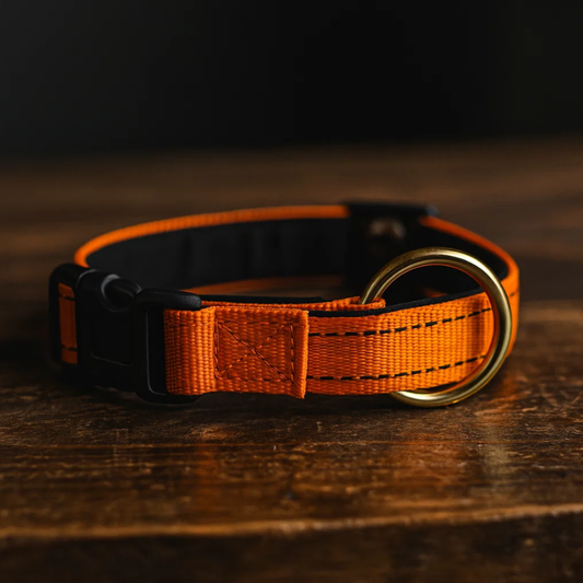 נוירופולס פרו®